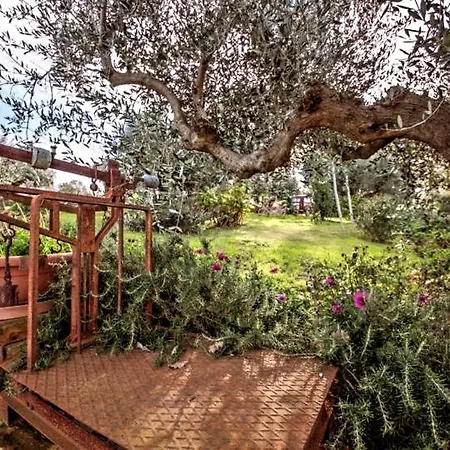 Casale Vincenzo Дом отдыха Collecorvino