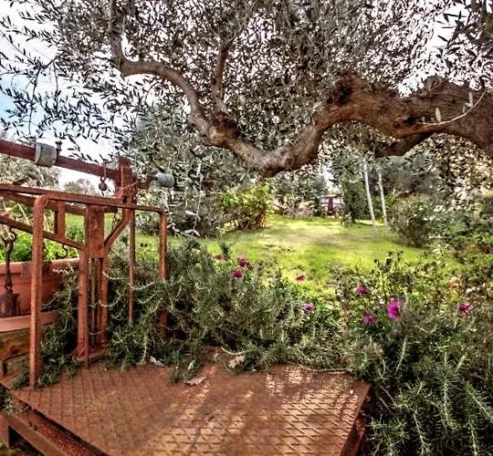 Casale Vincenzo Дом отдыха Collecorvino